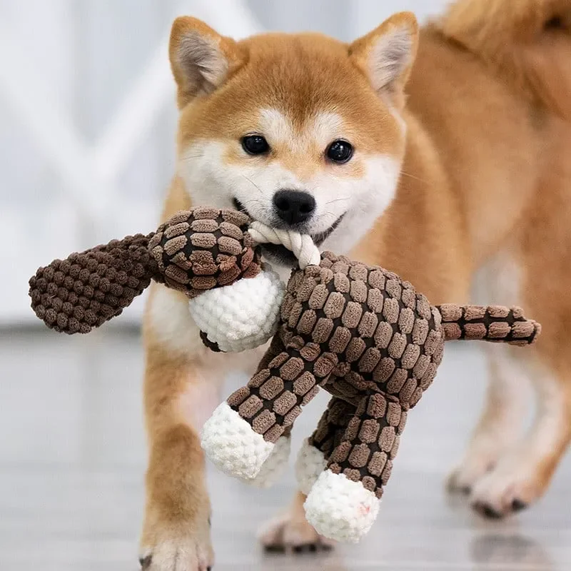 Quietschendes Plüschtier für Hunde