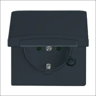ABB BUSCH-JAEGER 2CKA002064A0290 Steckdose