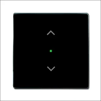 ABB BUSCH-JAEGER 2CKA006220A0038 Bedienelement / Zentralplatte Schalterprogramm 63 mm