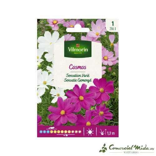 VILMORIN Samen Cosmea Sensation Mischung
