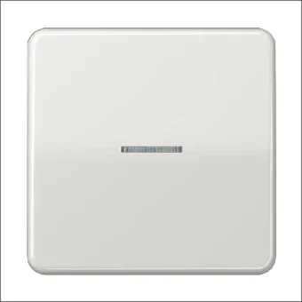JUNG FMCD1561.07LG Intelligent bedieningselement