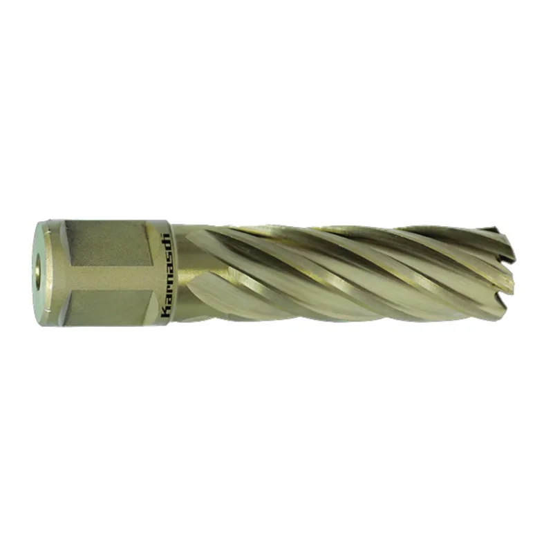 Produktbild von Kernbohrer GOLD-LINE 55 Weldon, Ø 44 mm