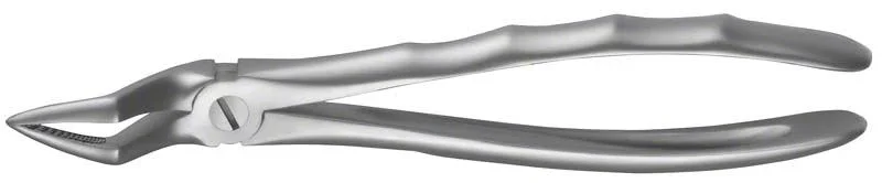 Zahnzange LiquidSteel® OK Wurzeln aus Edelstahl in Nahaufnahme.