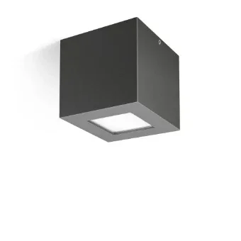 PIL 304489 Decken-/Wandleuchte 100 mm