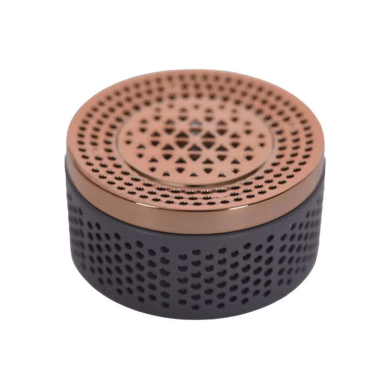 Hinteres Gitter des Haartrockners Rowenta SS-1810003151