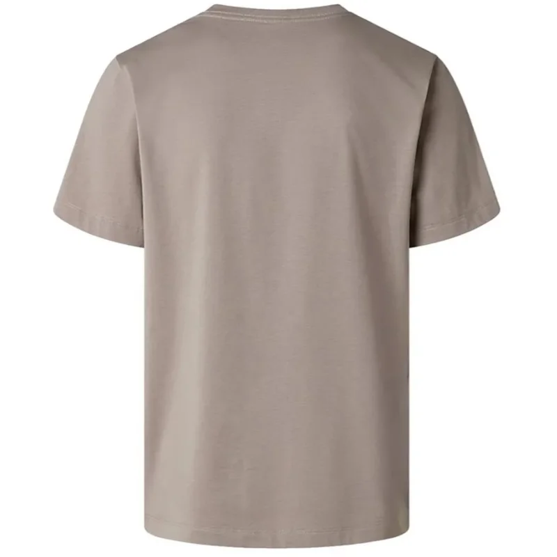 The North Face Evolution Simple Dome Regular SS Herren Tee stone slab