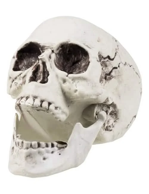 Décoration crâne Halloween pour fête blanc vieilli avec mâchoire ouverte
