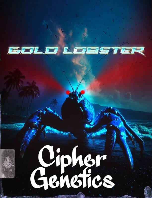 Cipher Genetics Gold Lobster Fem 3St.
