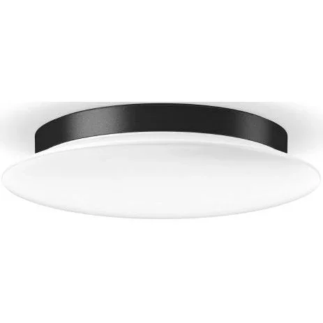 RZB - Decken-/Wandleuchte LED-Wand u.Deckenleuchte 312638.0031.730 830/840 ML s+f anthr