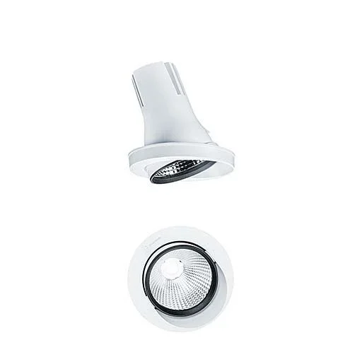 Zumtobel Group - Downlight/Strahler/Flutlicht LED - Leuchtenmodul CAR EVO M #60819031 Fisch